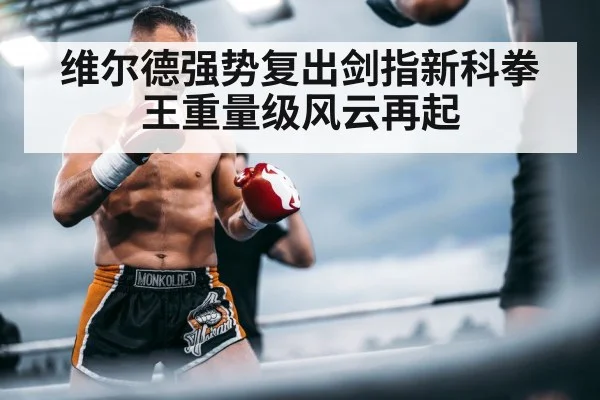 维尔德强势复出剑指新科拳王重量级风云再起